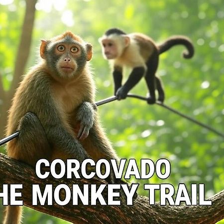 Отель Corcovado The Monkey Trail Драке Экстерьер фото